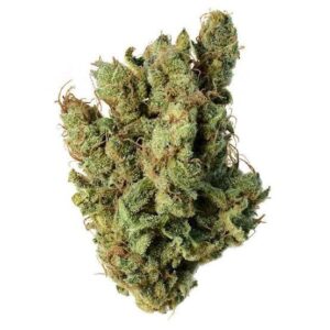 Super Silver Haze