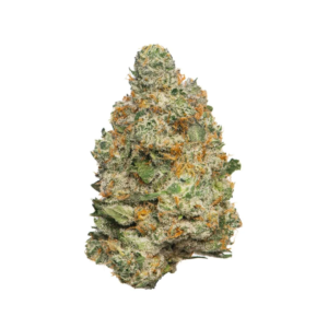 Apple Fritter